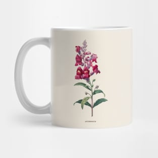 Snapdragon Flower Antique Botanical Illustration Mug